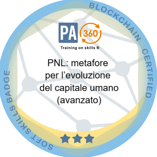 Badge pubblico 67504